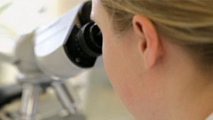 Dr. Hauschka research, development and manufacturing Dr. Hauschka research, development and manufacturing